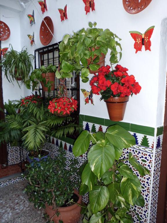 Pension Agustina Córdova Exterior foto